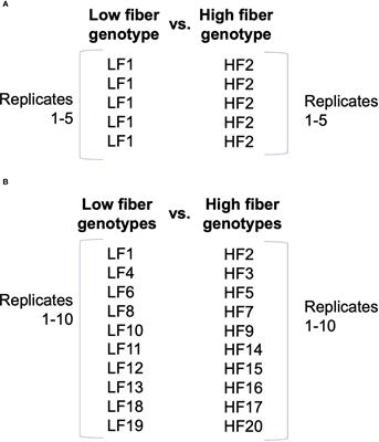 Design, execution, and interpretation of plant RNA-seq analyses